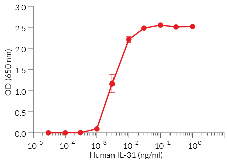 Dose-response in HEK-Blue™ IL-31 cells to recombinant IL-31 cytokine