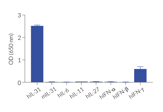 HEK-Blue™ IL-31 specificity
