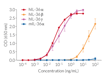 Cellular response to IL-36