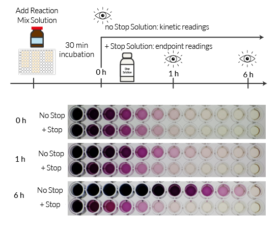 Endpoint reading using Stop solution