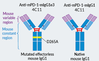 Fully mouse anti-mouse PD-1 InvivoFit™ antibodies