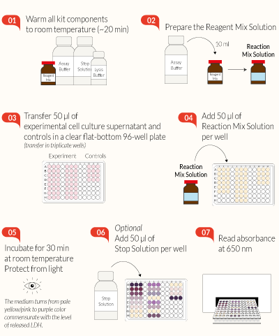 LDH-Blue™ assay at a glance