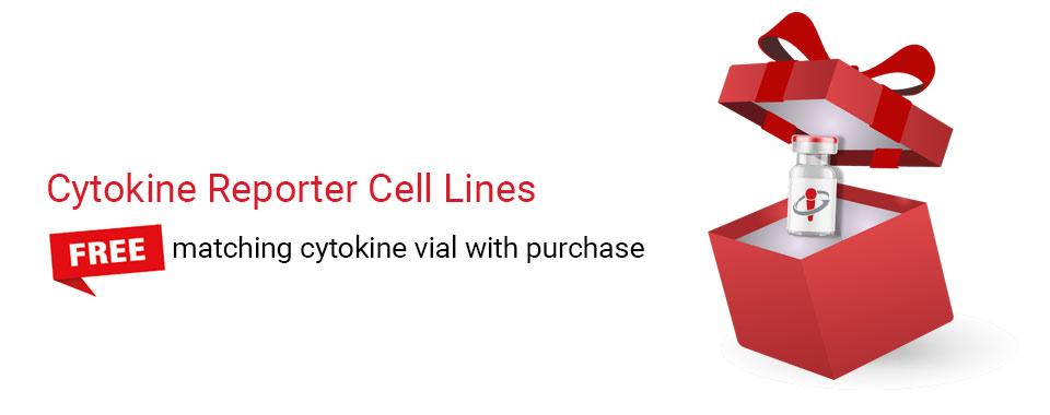 Cytokine reporter cells - Special offer