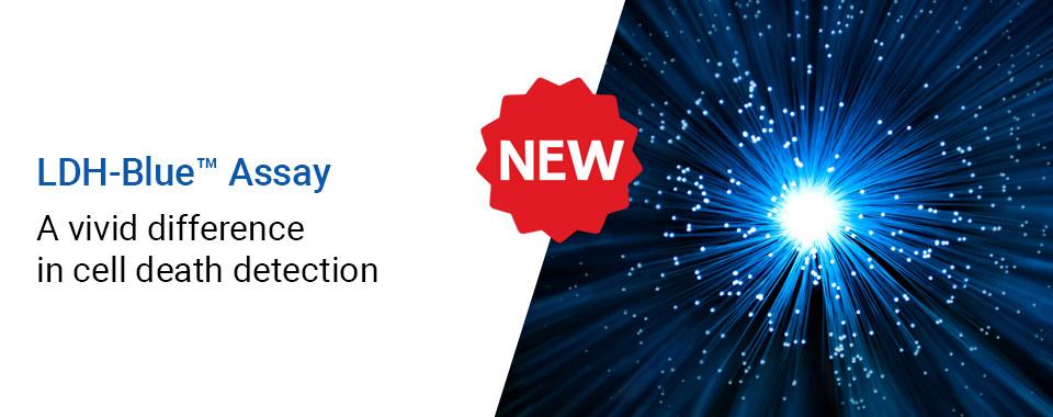 LDH-Blue™ Cytotoxicity Assay